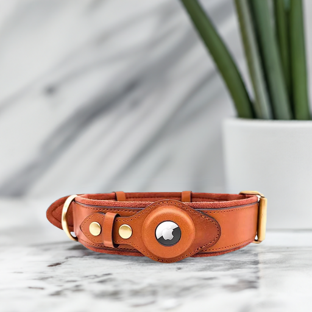 Apple Tracker Leather Harness made of organic leather, featuring unique design and comfortable grip for pets.