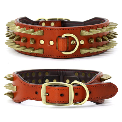 Training Collar for Large Dogs