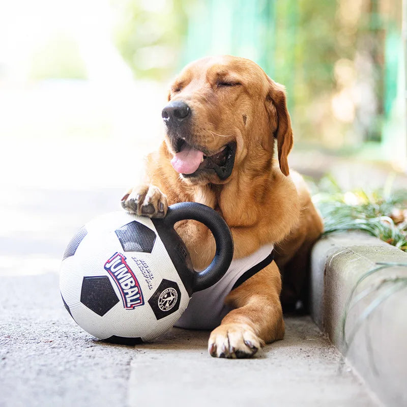 Happy dog enjoying the Big Dog Inflatable Ball with sturdy handles, perfect for active play and exercise.