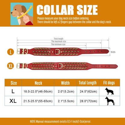 Training Collar for Large Dogs