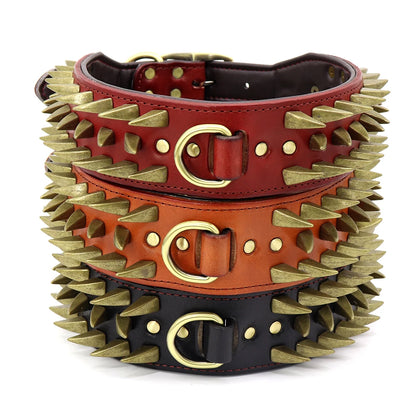 Training Collar for Large Dogs