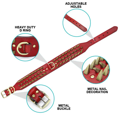 Training Collar for Large Dogs