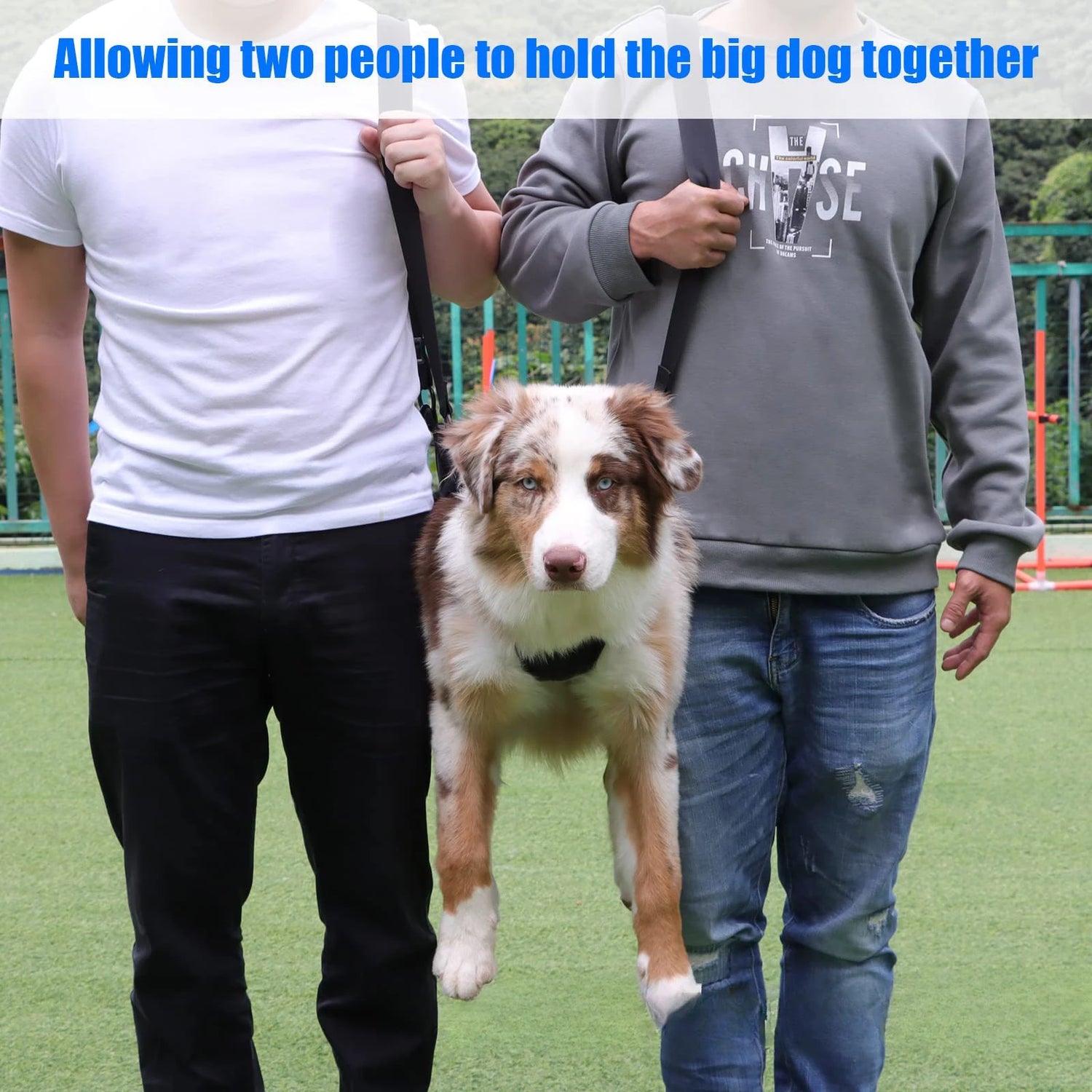 Dog Back Support Harness
