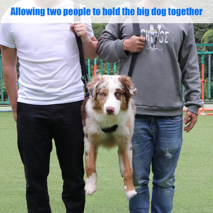 Dog Back Support Harness