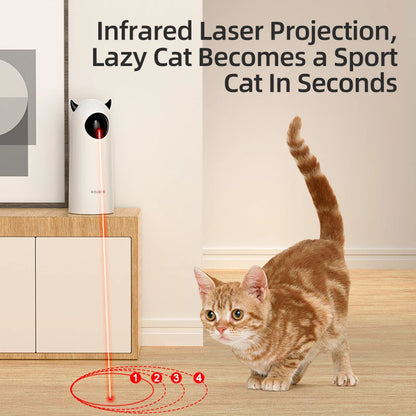Cat Smart Teasing Toy