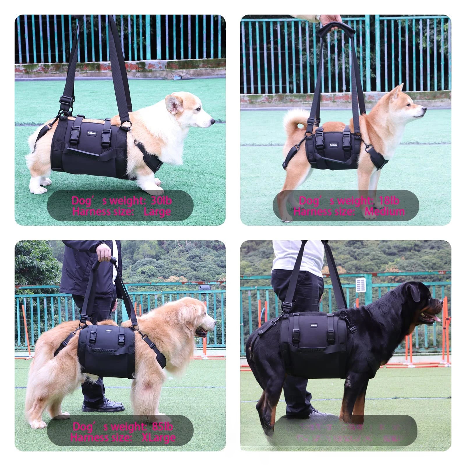 Dog Back Support Harness