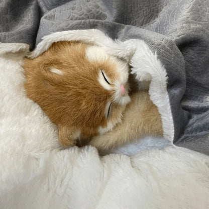 Pet Orthopedic Bed