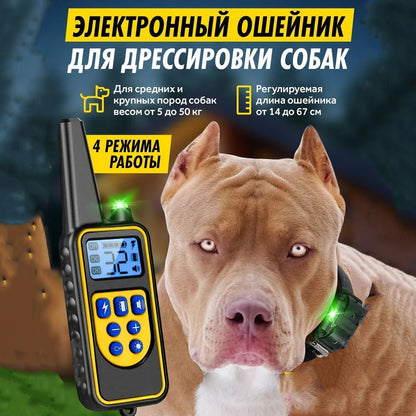 Waterproof Dog Training Collar