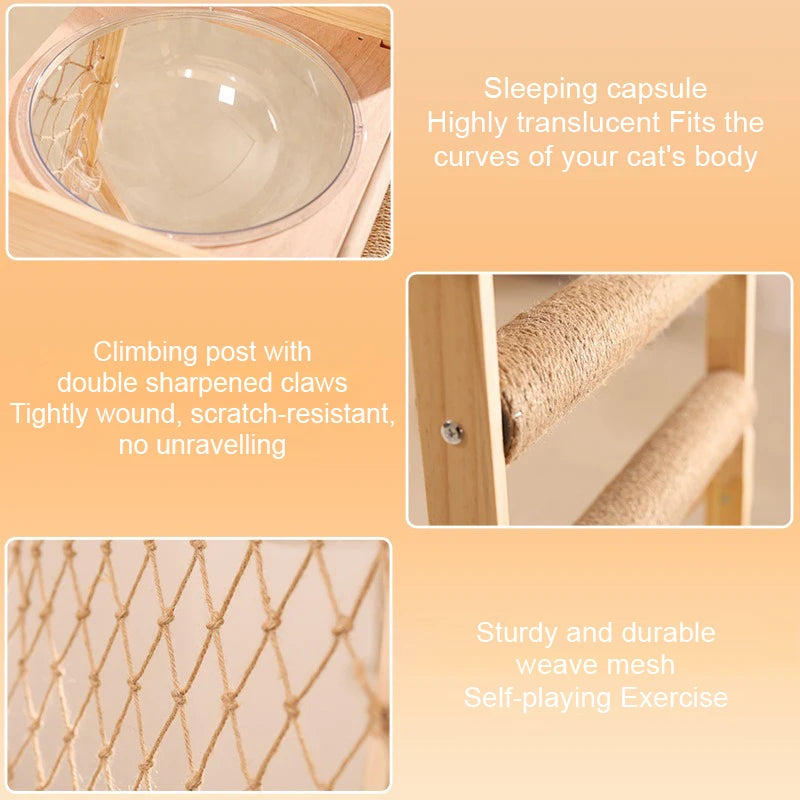 Pet Scratching Board