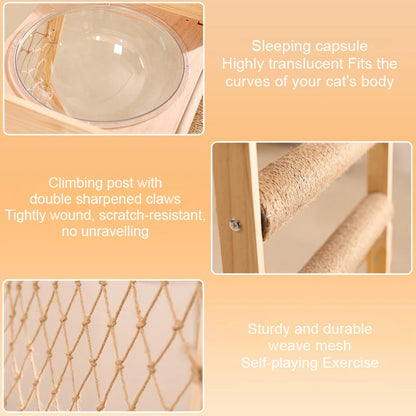 Pet Scratching Board