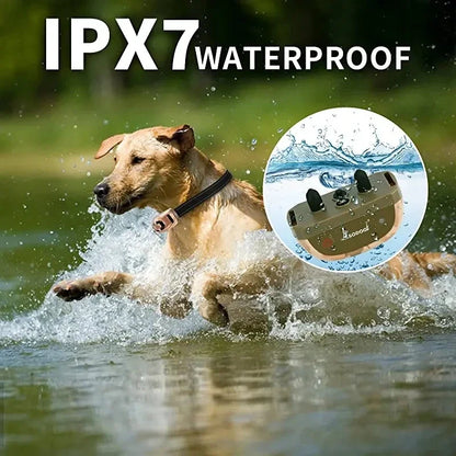 Remote-Control Bark Training