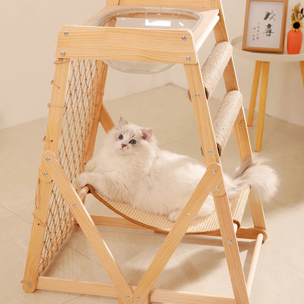 Pet Scratching Board