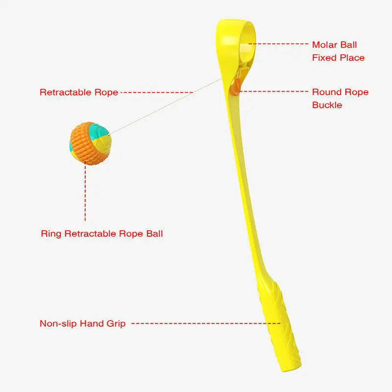 Dog Chew Toss Toy