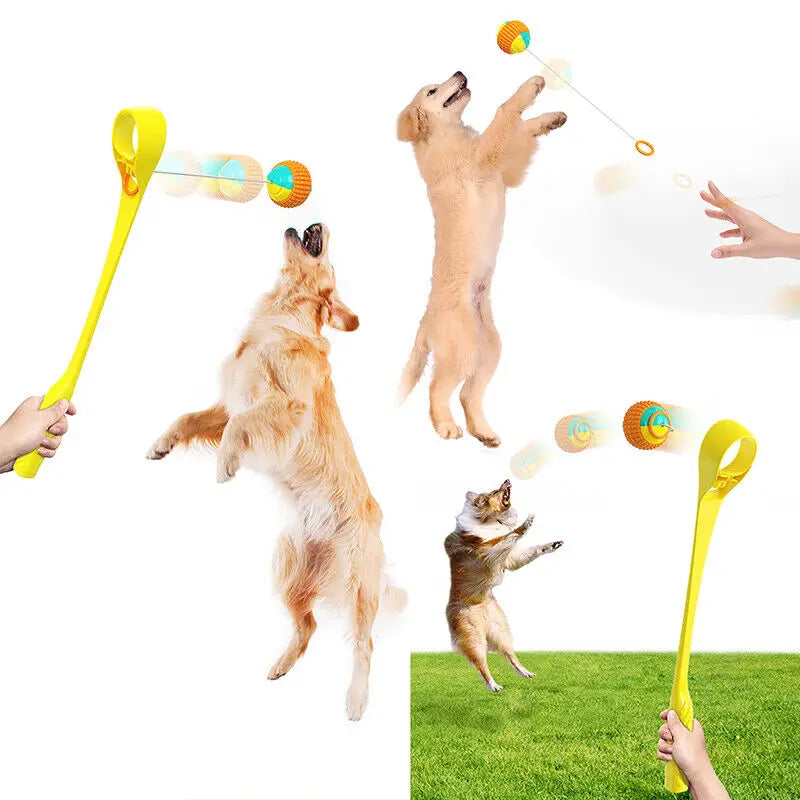 Dog Chew Toss Toy