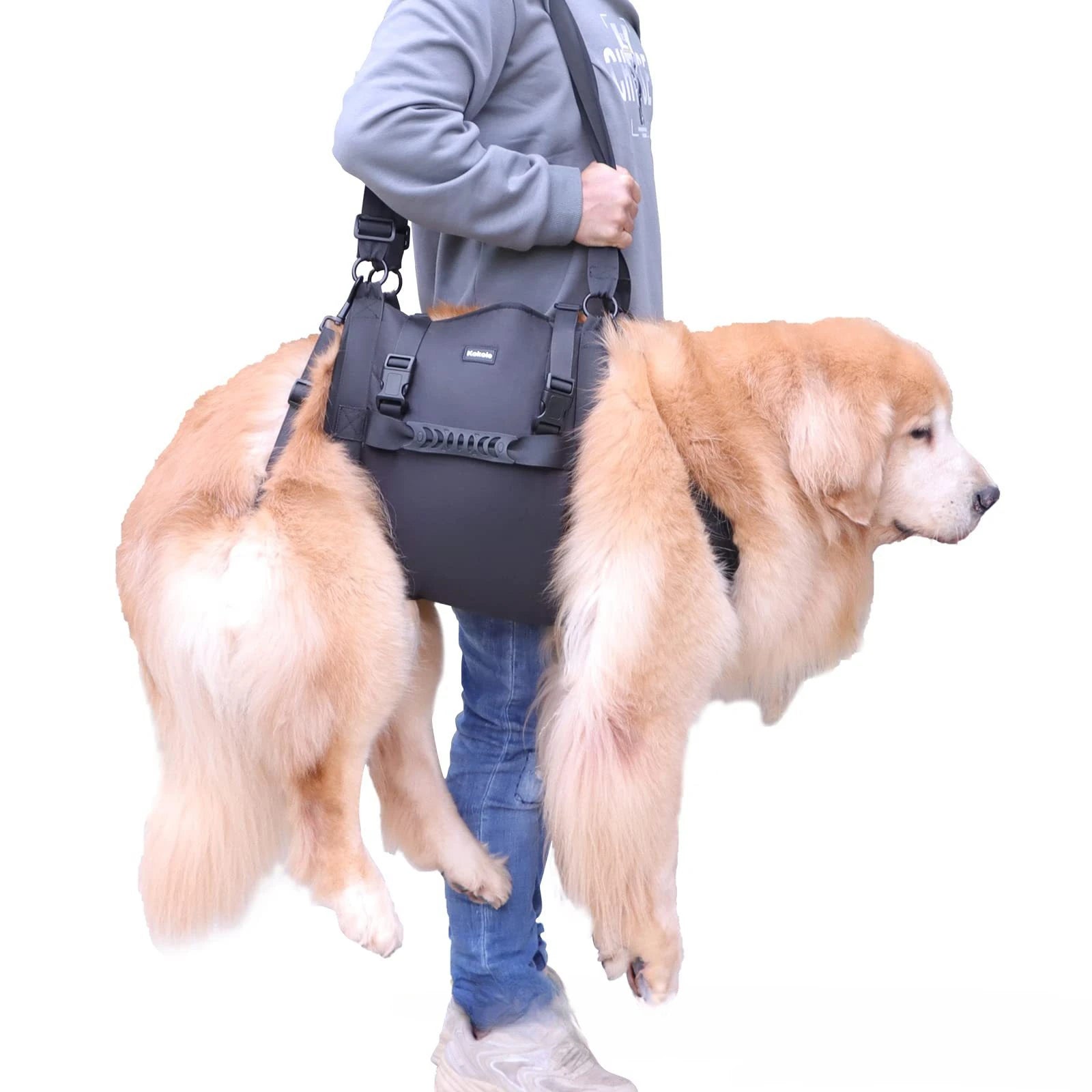 Dog Back Support Harness