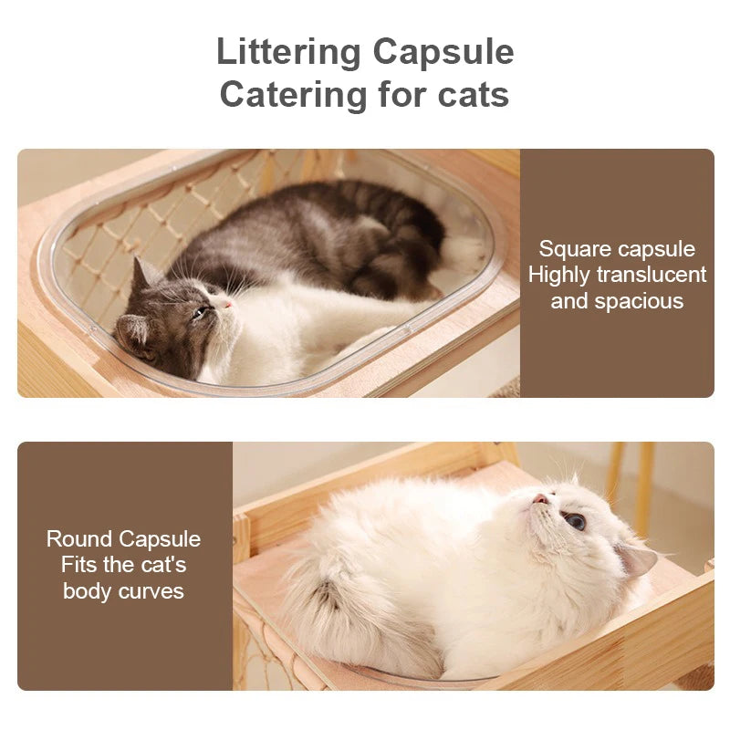 Pet Scratching Board