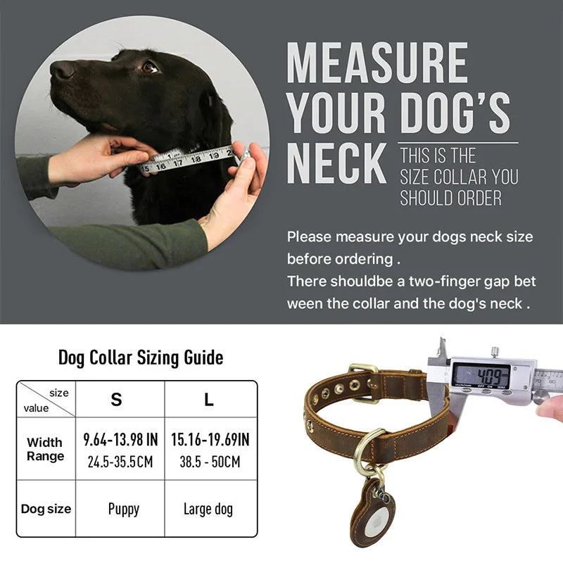 Genuine Leather Pet Collar