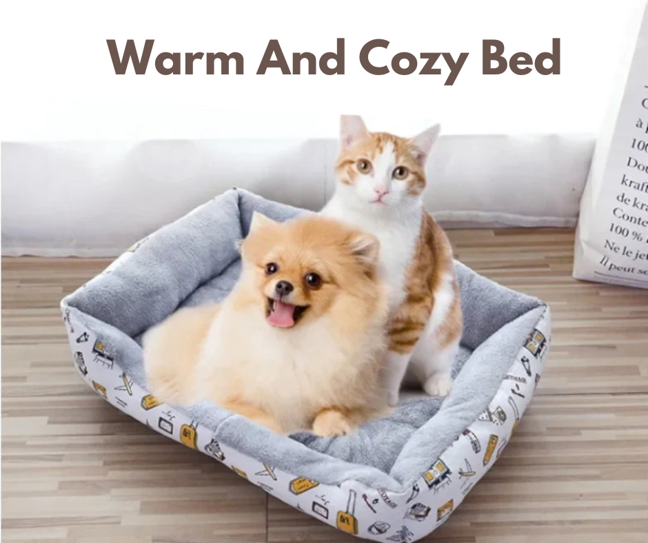 Warm And Cozy Cat Bed Cushions Kitten Best Bed Dog All Houses Supplies Things Accessory Habitats Basket House Beds